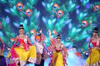 Radhe Shyam Pre Release Event Photos